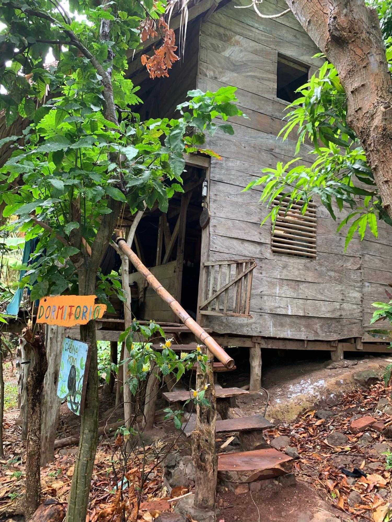 El Zopilote Hostal *